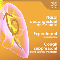 Mucosan Honey Flavor Cough & Congestion Medicine